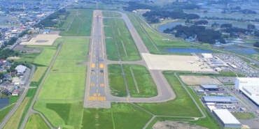 Japonya’da Havalimanında Ayı Alarmı! Pistte Panik, Seferler Durduruldu