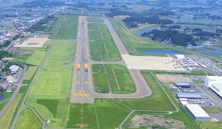 Japonya’da Havalimanında Ayı Alarmı! Pistte Panik, Seferler Durduruldu