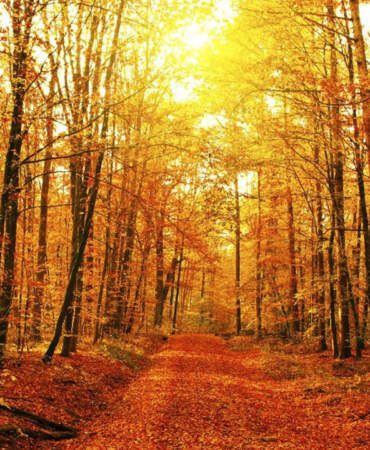 Meteoroloji’den Beklenmedik Kasım Uyarısı! Güne Başlamadan Önce Buna Dikkat Edin