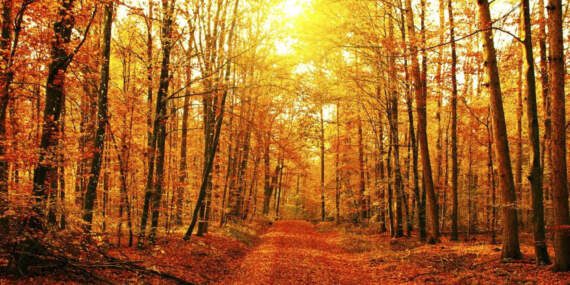 Meteoroloji’den Beklenmedik Kasım Uyarısı! Güne Başlamadan Önce Buna Dikkat Edin