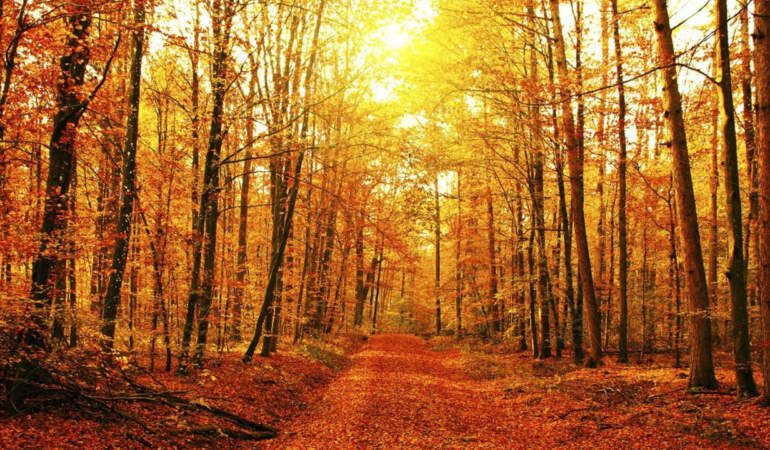 Meteoroloji’den Beklenmedik Kasım Uyarısı! Güne Başlamadan Önce Buna Dikkat Edin