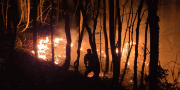 Ordu’da Örtü Yangını Kontrolden Çıktı! Alevler Ormana Sıçradı