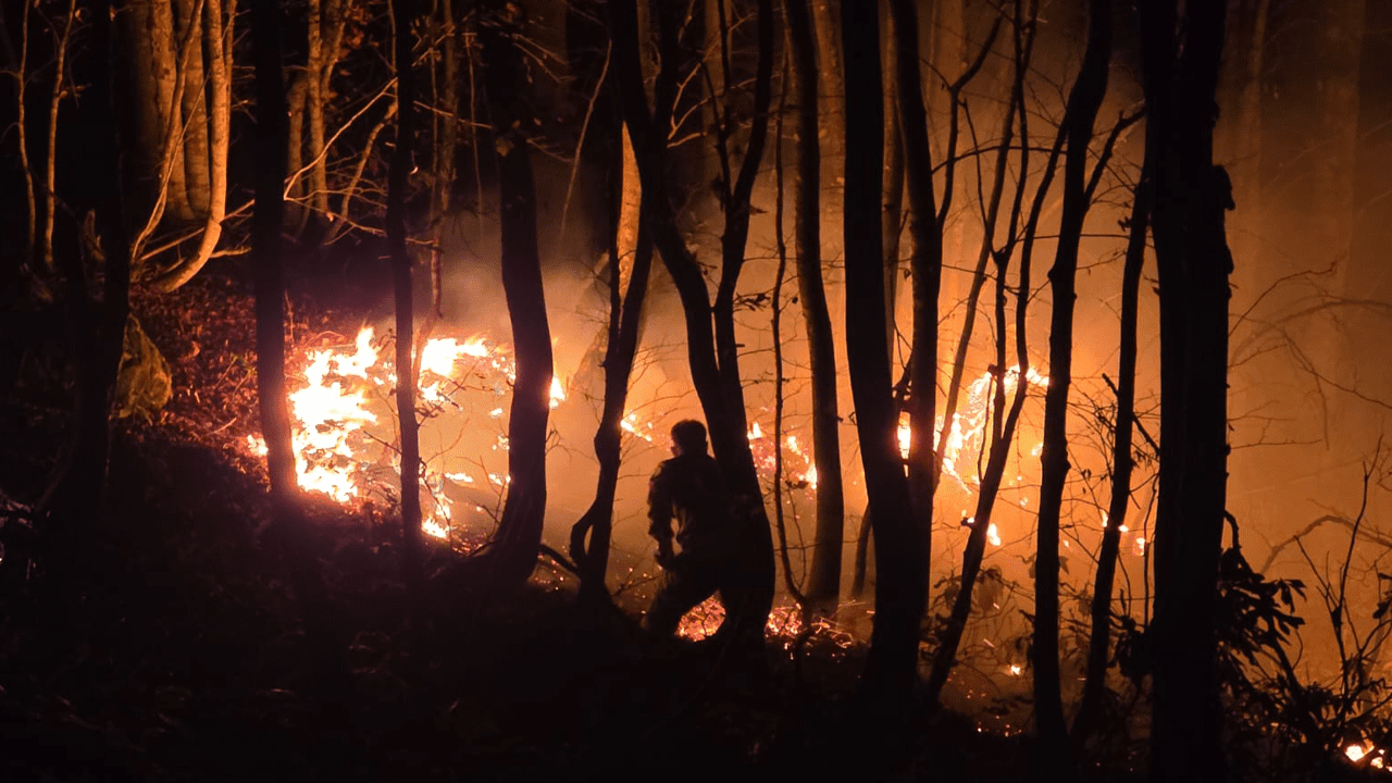 Ordu’da Örtü Yangını Kontrolden Çıktı! Alevler Ormana Sıçradı