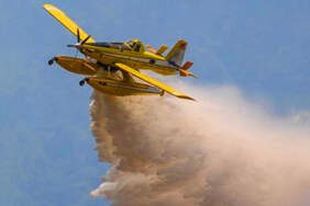 Orman Genel Müdürlüğü’ne Ait Uçak Düştü! Pilot Şehit Oldu