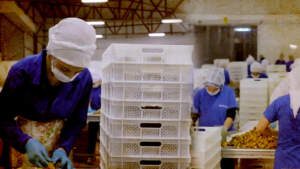 Türkiye’nin Gıda Devi İflasın Pençesinde! Yarım Asırlık Marka Krizde