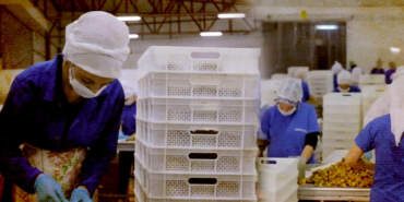 Türkiye’nin Gıda Devi İflasın Pençesinde! Yarım Asırlık Marka Krizde