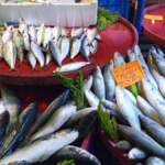 Kasım ayında hangi balıklar yenir? İşte sofranıza girmesi gereken 10 lezzet!