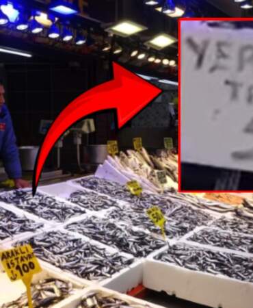 Karadeniz’de hamsi bolluğu! Fiyat 50 TL’ye kadar düştü: Vatandaş kışlık hazırlığa başladı