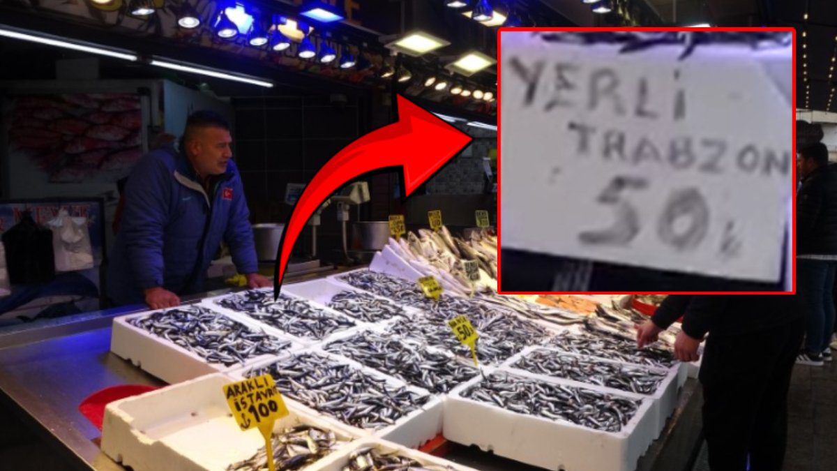 Karadeniz’de hamsi bolluğu! Fiyat 50 TL’ye kadar düştü: Vatandaş kışlık hazırlığa başladı