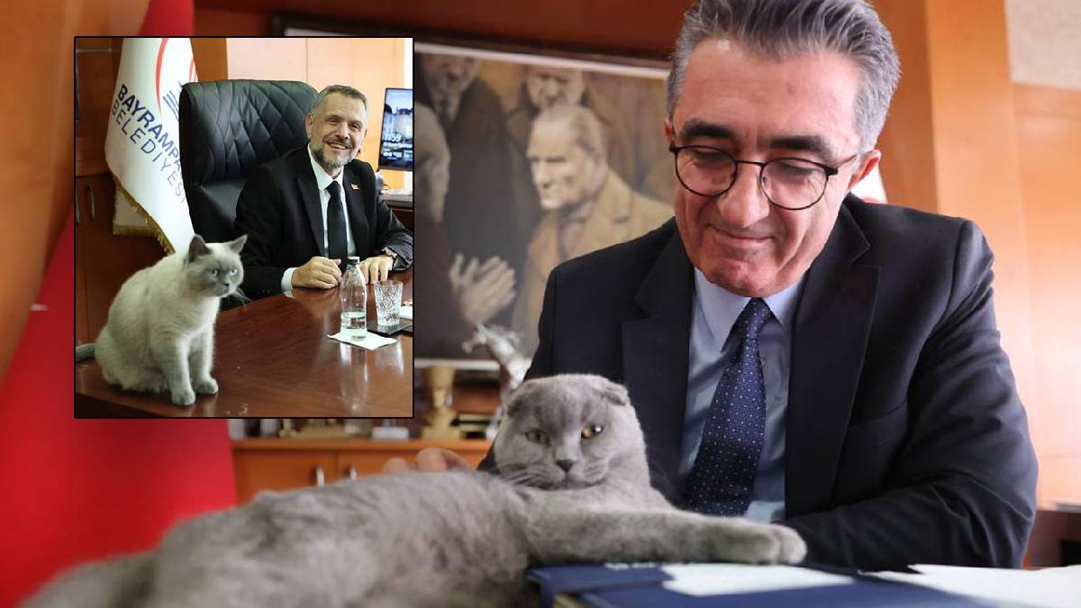 Bayrampaşa Belediyesi’nde ‘kediye kayyum’ atandı