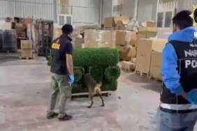 Yapay çimlerin arasına tek tek dizmişler! Hatay polisi saklanmış 306 bin adet uyuşturucu hap yakaladı