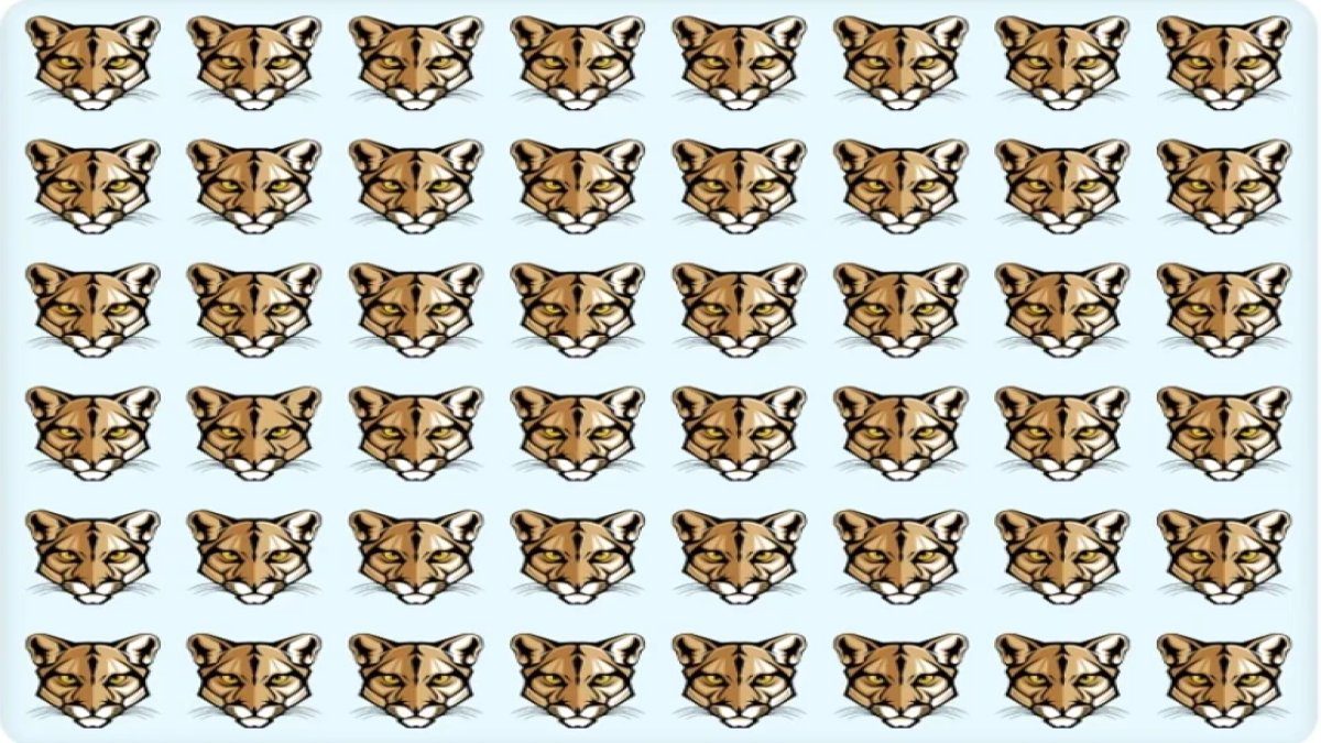 Görsel zekanın zirvesi: 6 saniyede farklı kaplanı bul, dahiliğini kanıtla!