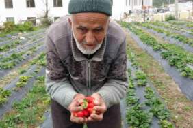 85 yaşında durmadan çalışıyor, ‘Hayır bahçesiyle’ gönülleri fethediyor! Bahçesindeki her şeyi ücretsiz dağıtıyor