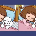 IQ testi: Yüksek zekalıların bile zorlandığı 17 saniyelik görsel bulmaca