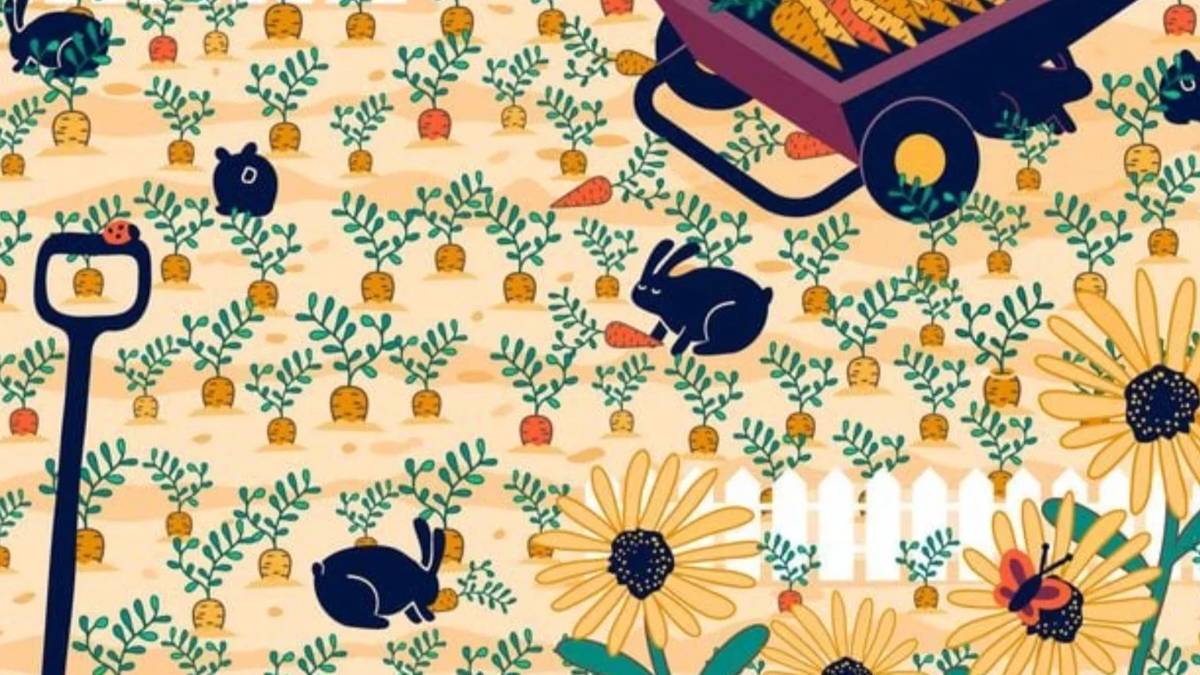 Bahçeyi arayıp tarasanız da yine de bulamazsınız! Yalnızca yüksek IQ’lular 9 saniyede yüzüğü fark ediyor