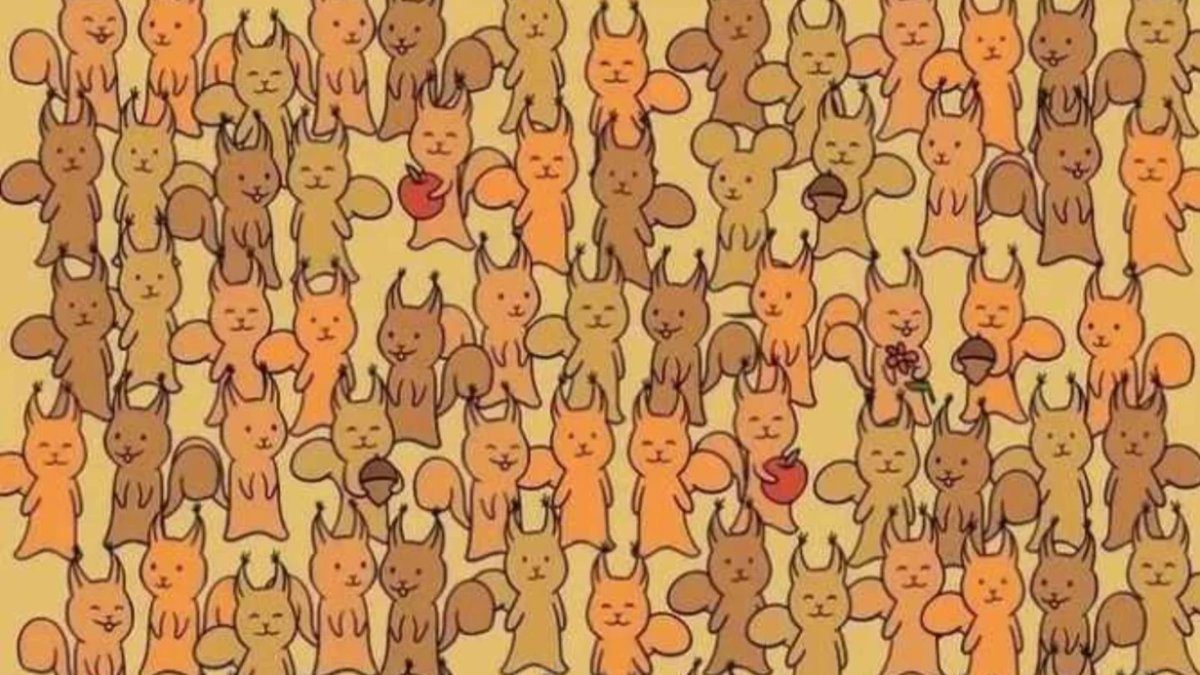 5 saniyelik görsel meydan okuma: Sadece dahiler fareyi bulabiliyor!