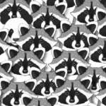 Gözleriniz sizi yanıltmasın! Rakun denizindeki saklı pandayı 5 saniyede bulabilir misiniz?