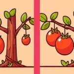 Görsel algı sınavı: 14 saniyede 3 farkı bul, IQ seviyeni kanıtla