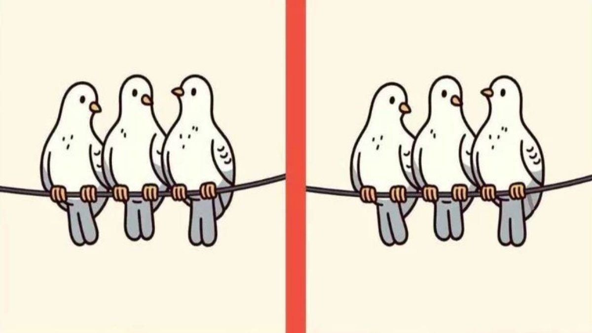 Görsel zekanız ne kadar güçlü? Yüksek IQ’luları bile zorlayan 14 saniyelik güvercin testi