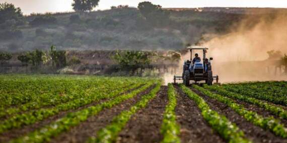 Tarımda durum kritik: Çiftçi borcu 1 trilyonu aştı, devletten alacağı 1.9 trilyon TL