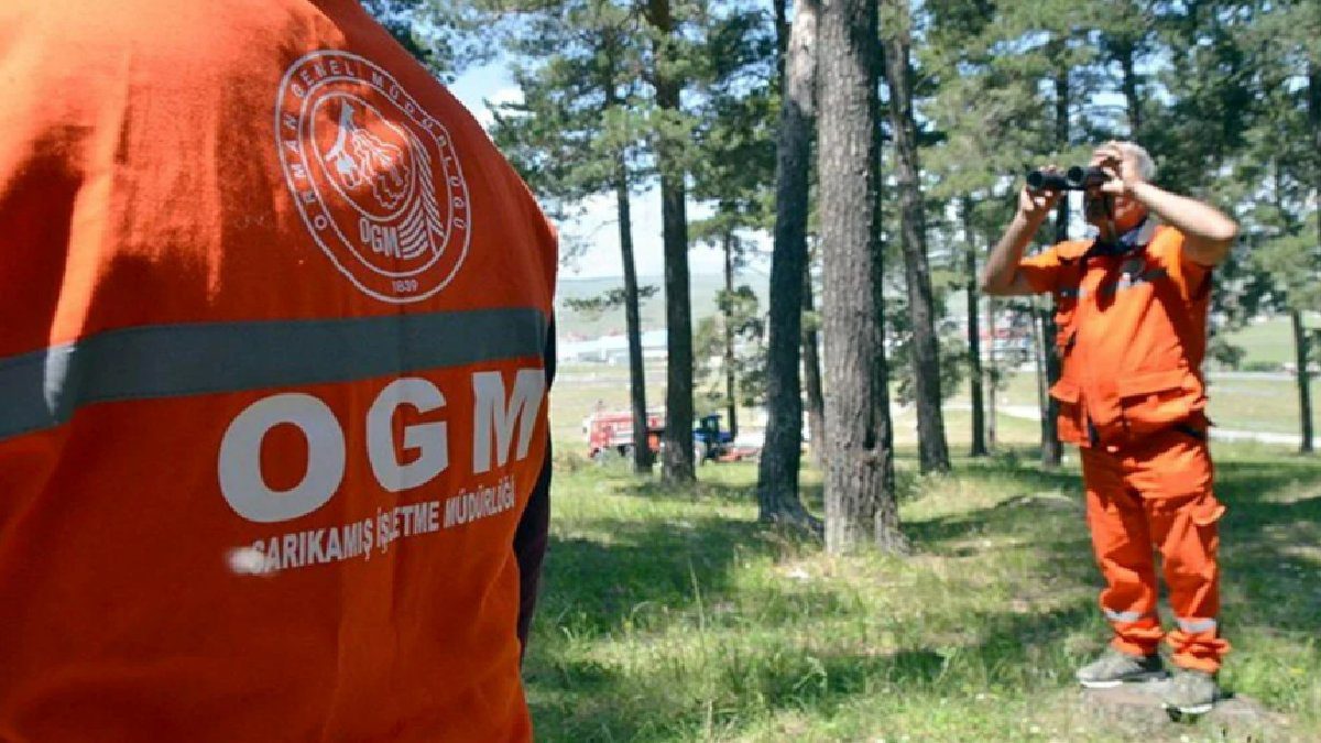 Bakan Yumaklı duyurdu! DSİ 496 kişilik alım yapacak: İşte Orman Genel Müdürlüğü 2025 personel alımı şartları