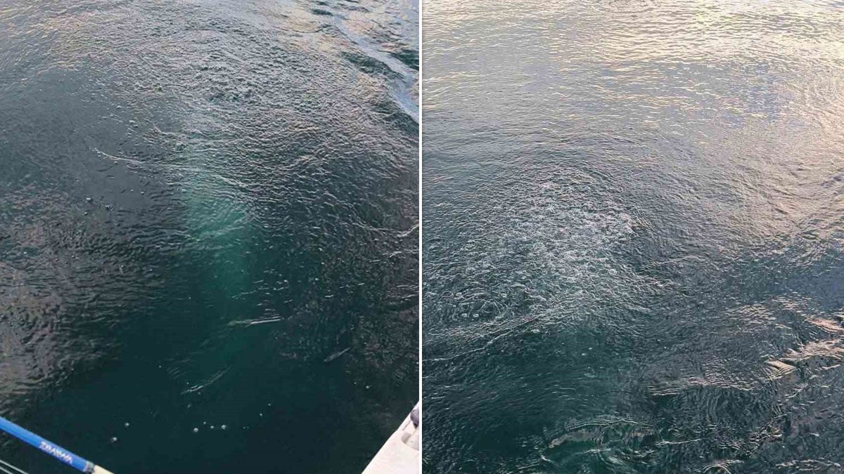 Sapanca Gölü’nde oluşan kabarcıklar görüntülendi