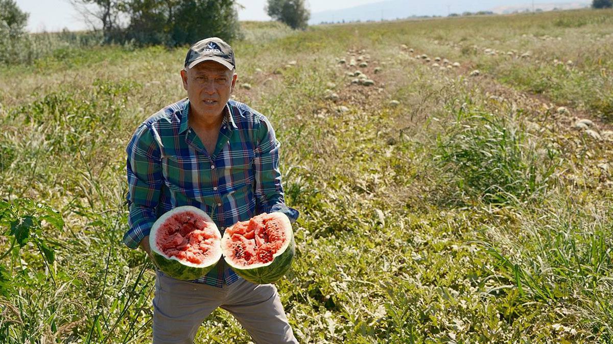 Türkiye’de tarım yatırımı kârlı mı? En çok hangi tarım ürünü ekiliyor? Zirai ilaç denetimi neden önemli?