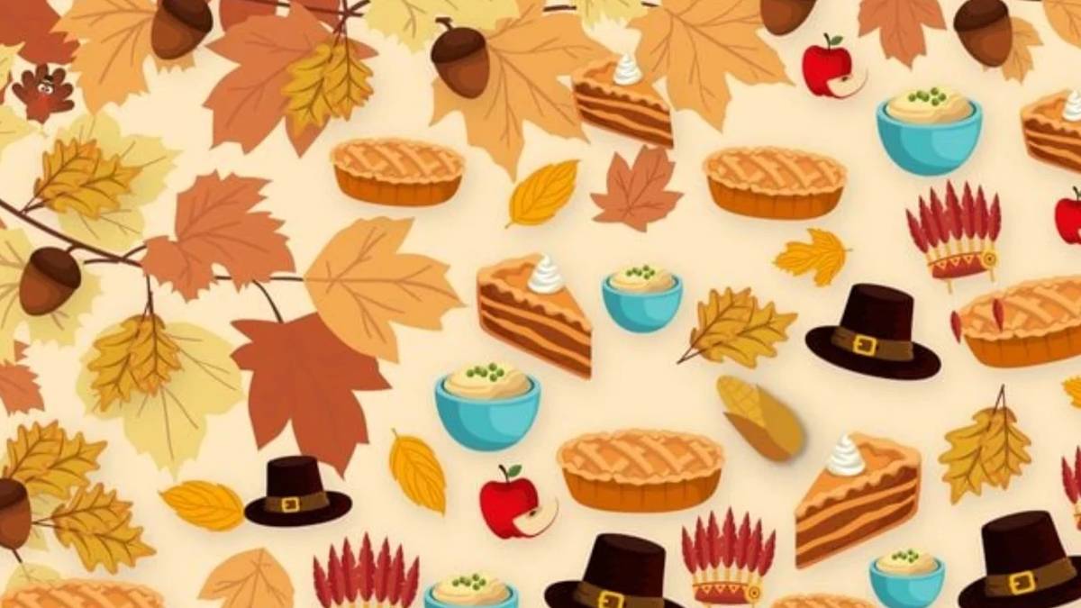 126 kişi denedi sadece 3 tanesi fark etti! Resimdeki gizli hindi nerede? Bulmak için 9 saniyeniz var