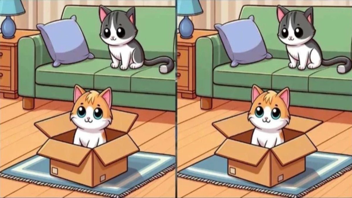 Yüksek IQ testi: 25 saniyede 3 farkı bulun, beyninizi harekete geçirin