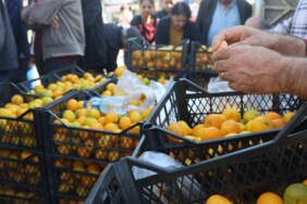 Mandalina 2 TL’ye düştü: Üretici tonlarca ürünü ücretsiz dağıttı