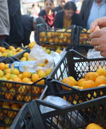 Mandalina 2 TL’ye düştü: Üretici tonlarca ürünü ücretsiz dağıttı
