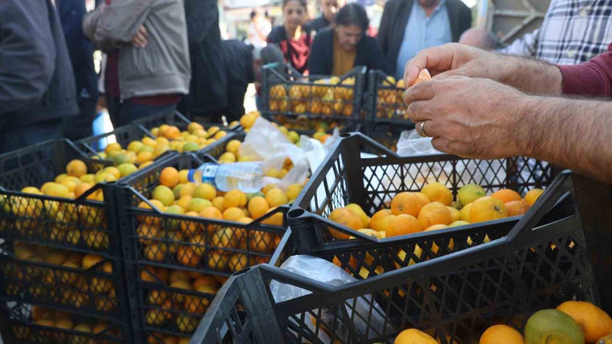 Mandalina 2 TL’ye düştü: Üretici tonlarca ürünü ücretsiz dağıttı