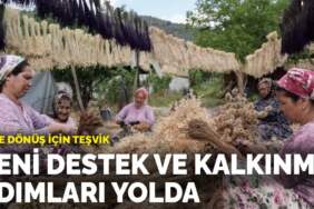 Köye dönüş için teşvik: Yeni destek ve kalkınma adımları yolda
