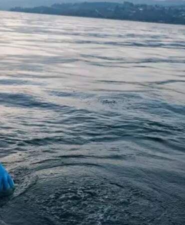 İlk önce Sapanca’da ortaya çıktı şimdi de Düzce’de görüldü! Göldeki kabarcıklar herkesi korkutuyor