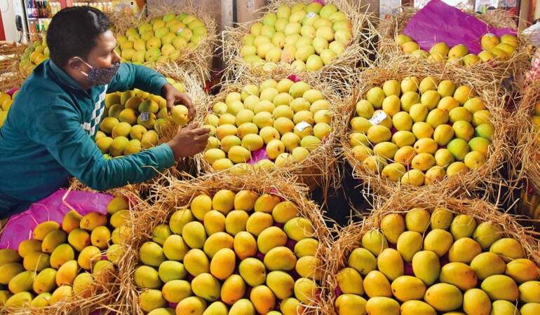 Meyvelerin kralı olarak biliniyor, yılda birkaç hafta hasat ediliyor! Kilosu 300 dolardan satılıyor