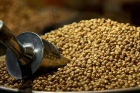 Nohutta rekolte ve kalite düşerken leblebide fiyat fırladı! 150 TL’den 370 TL’ye yükseliş…