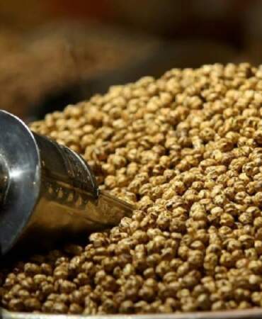 Nohutta rekolte ve kalite düşerken leblebide fiyat fırladı! 150 TL’den 370 TL’ye yükseliş…