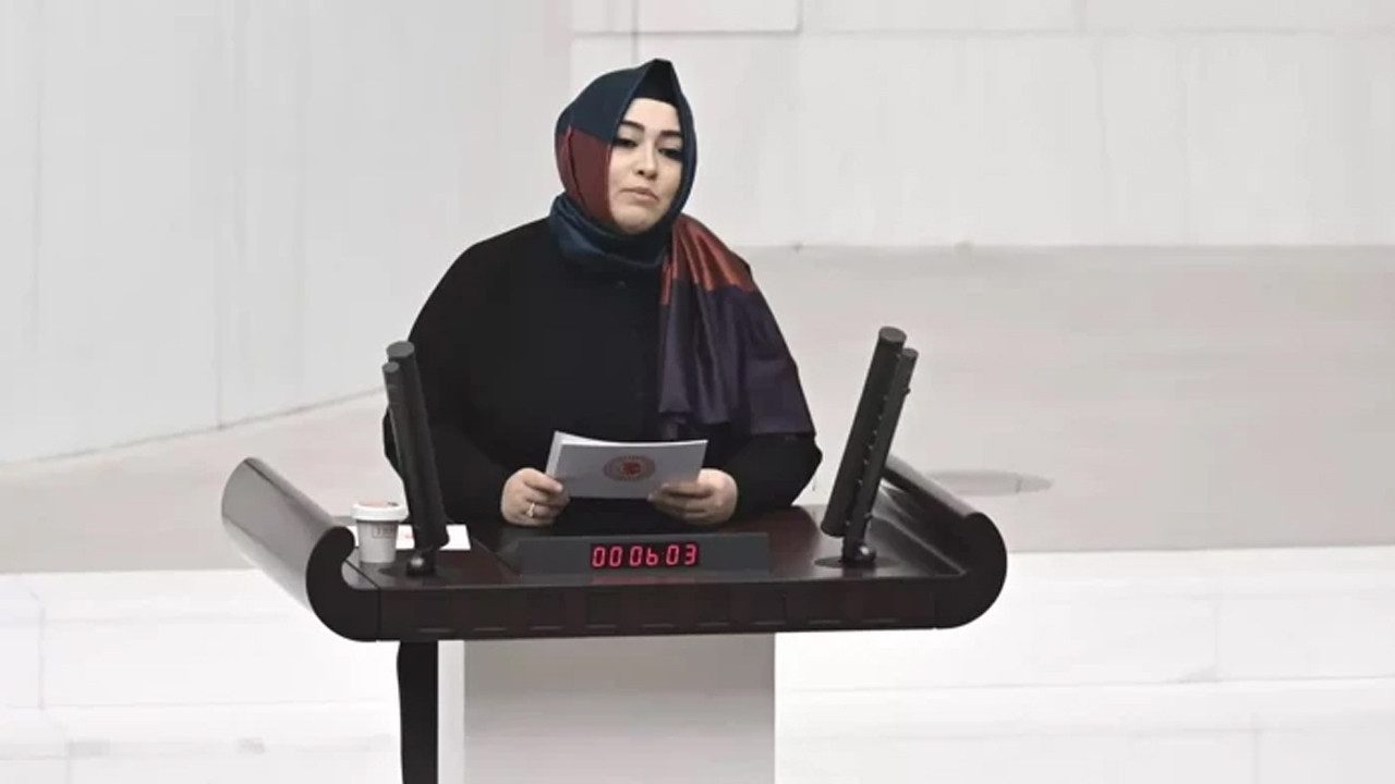 AK Partili Sena Nur Çelik Kanat Meclis’te Konuştu: ‘Hafızasına Hükmedemedikleri Milleti Esir Alamazlar’