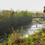 Evli Çift Tartıştı, Geri Dönüşü Olmadı: Enkazın Yanında Acı İsyan… ‘3 Çocuğum Var, Ne Diyeceğim?’