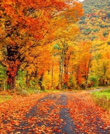 Mevsimler Şaştı! Son 55 Yılın En Sıcak Üçüncü Kasımı Oldu