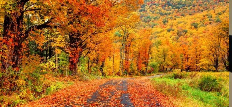 Mevsimler Şaştı! Son 55 Yılın En Sıcak Üçüncü Kasımı Oldu