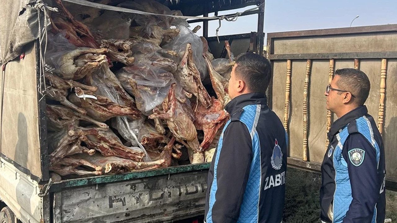 Mide Bulandıran Görüntü… Kasadan Kilolarca Bozuk Et Çıktı!