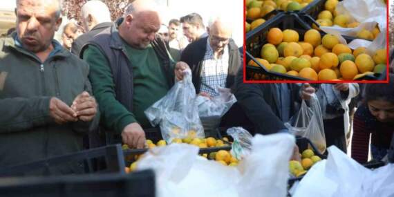 Fiyatı 2 liraya düştü, tonlarcası ücretsiz dağıtıldı! Marketlerin fahiş fiyatlarına izin vermediler