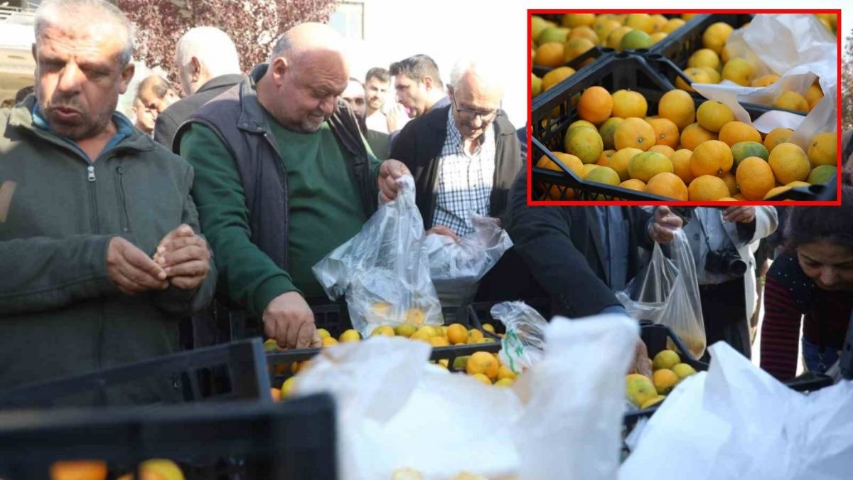 Fiyatı 2 liraya düştü, tonlarcası ücretsiz dağıtıldı! Marketlerin fahiş fiyatlarına izin vermediler