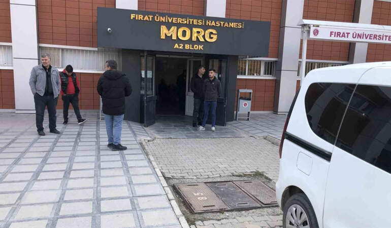 Elazığ’da kadın cinayeti! 3 çocuk annesi kadın, eşi tarafından katledildi