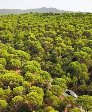 500-1000 metrelik rakımda doğa harikası! Buraya giren çıkmak istemiyor: İster kamp için ister karavan için…