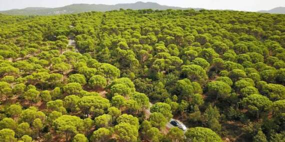 500-1000 metrelik rakımda doğa harikası! Buraya giren çıkmak istemiyor: İster kamp için ister karavan için…