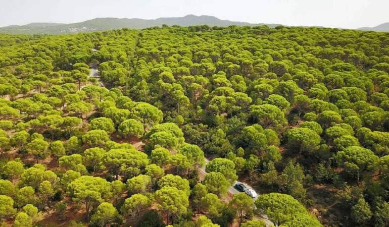 500-1000 metrelik rakımda doğa harikası! Buraya giren çıkmak istemiyor: İster kamp için ister karavan için…