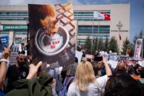 Türk Veteriner Hekimleri Birliği: Aç kalmış hayvanlar, kamu sağlığını da tehdit edebilir