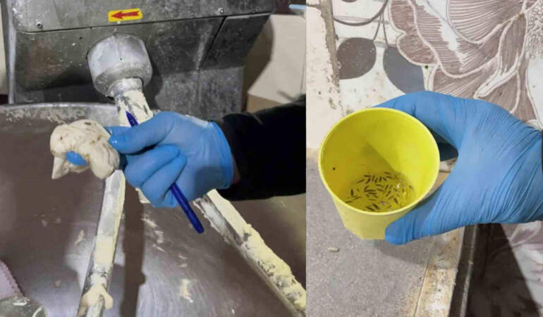 Fırın denetiminde skandal görüntüler! Böcekler içinde ekmek üretimi